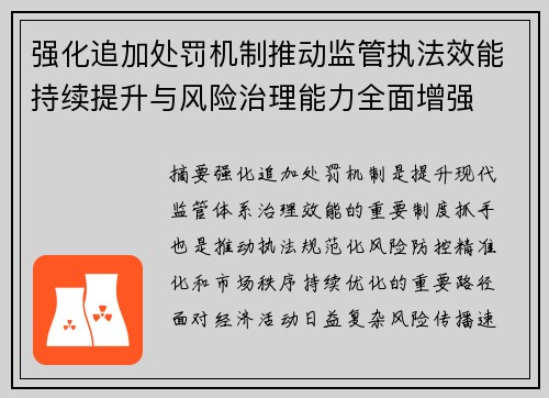 强化追加处罚机制推动监管执法效能持续提升与风险治理能力全面增强 强化追加处罚机制推动监管执法效能持续提升与风险治理能力全面增强